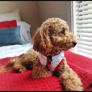 Vintage-style Snoopy tshirt for dogs